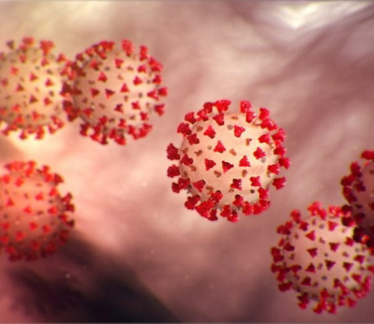 Prevención contra el Coronavirus