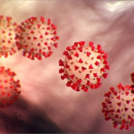 Seguimiento Coronavirus